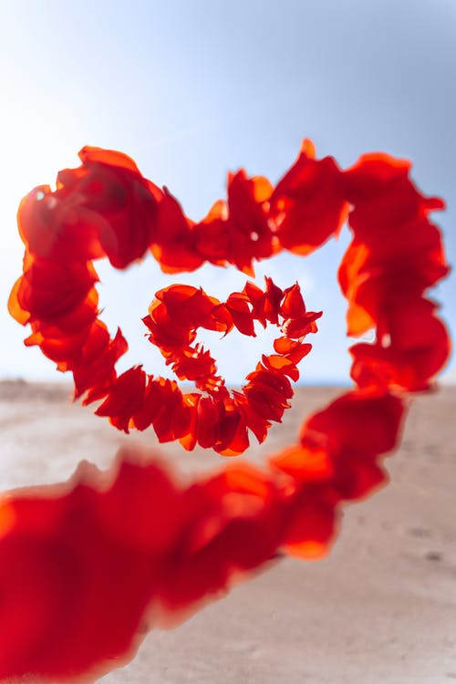 <strong>COLUMN ‘IK GELOOF HET WEL’: liefde</strong>